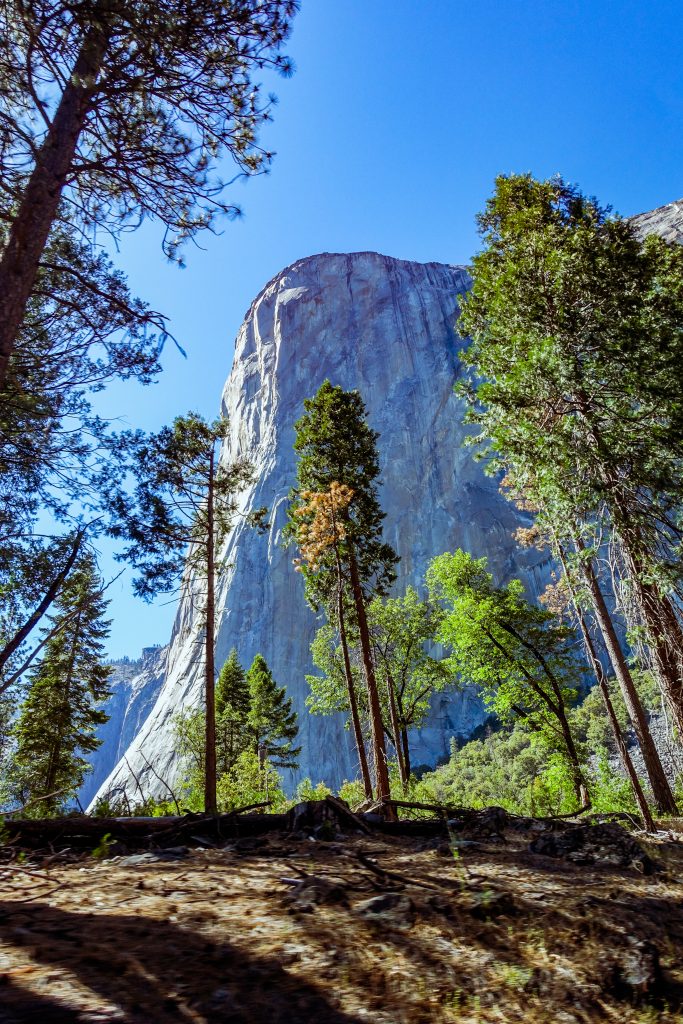 Známa skala El Capitan v Yosemite National Park