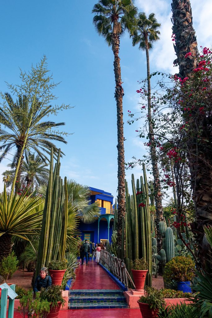 Záber zo záhrad YSL vidieť červený kamenný chodník, okolo neho množstvo rôznych rastlín ako rôzne druhy kaktusov a pálm a v pozadí vidieť sýto modro-žltú budovu